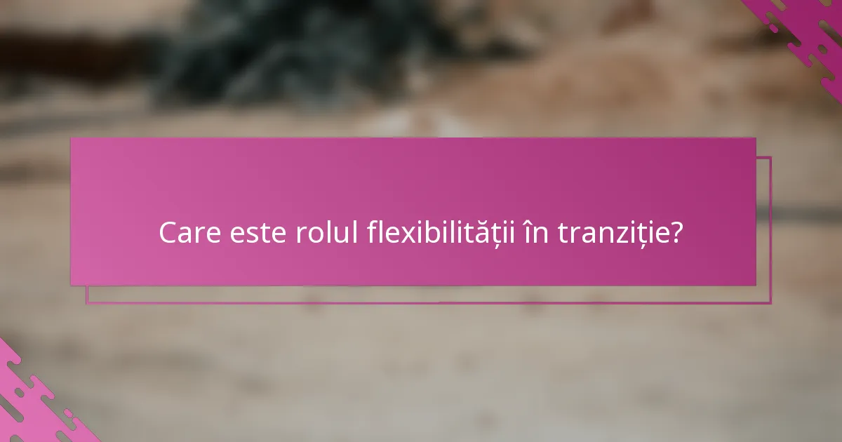 Care este rolul flexibilității în tranziție?