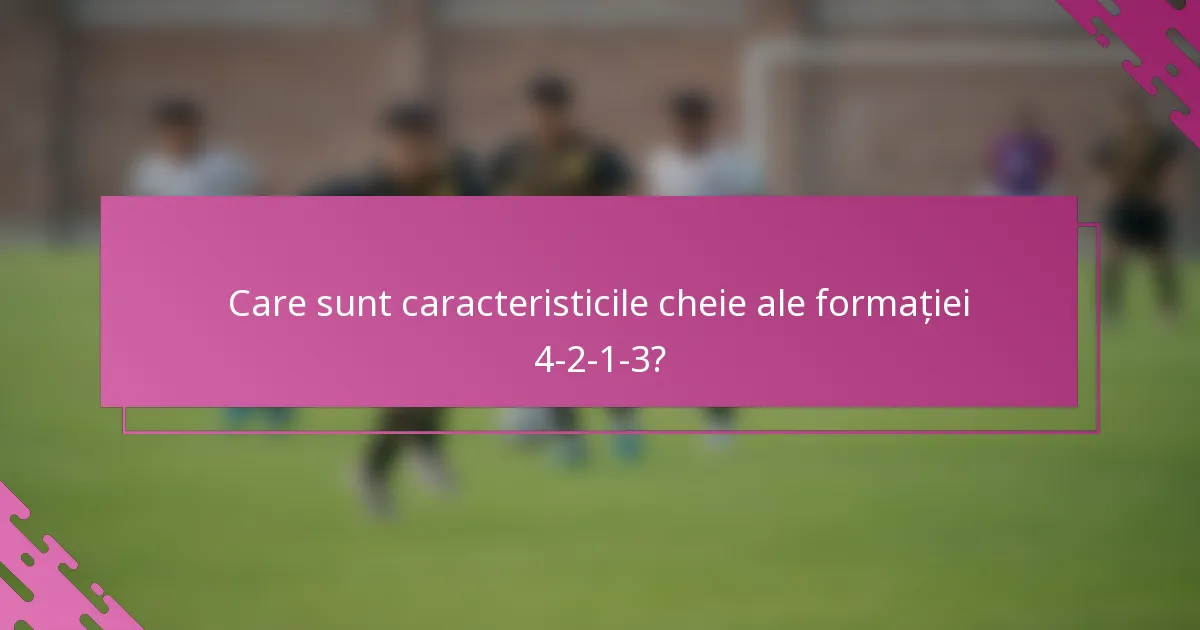 Care sunt caracteristicile cheie ale formației 4-2-1-3?