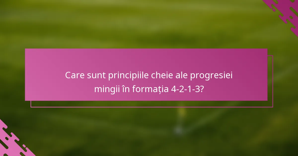 Care sunt principiile cheie ale progresiei mingii în formația 4-2-1-3?