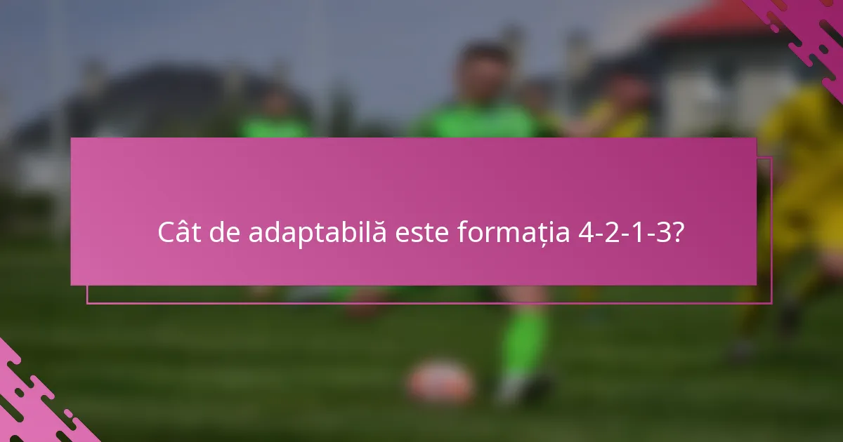 Cât de adaptabilă este formația 4-2-1-3?