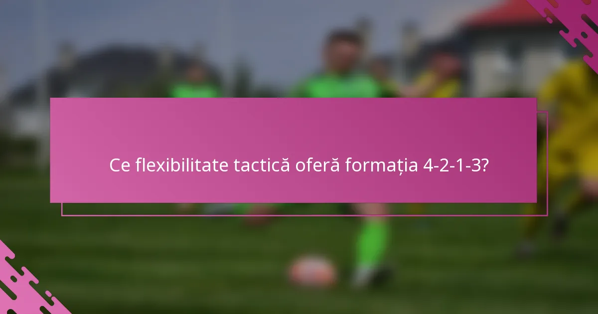 Ce flexibilitate tactică oferă formația 4-2-1-3?