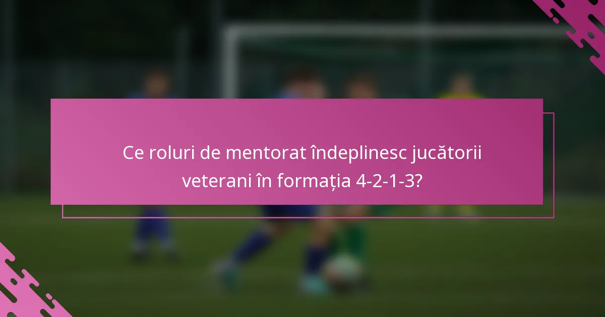 Ce roluri de mentorat îndeplinesc jucătorii veterani în formația 4-2-1-3?