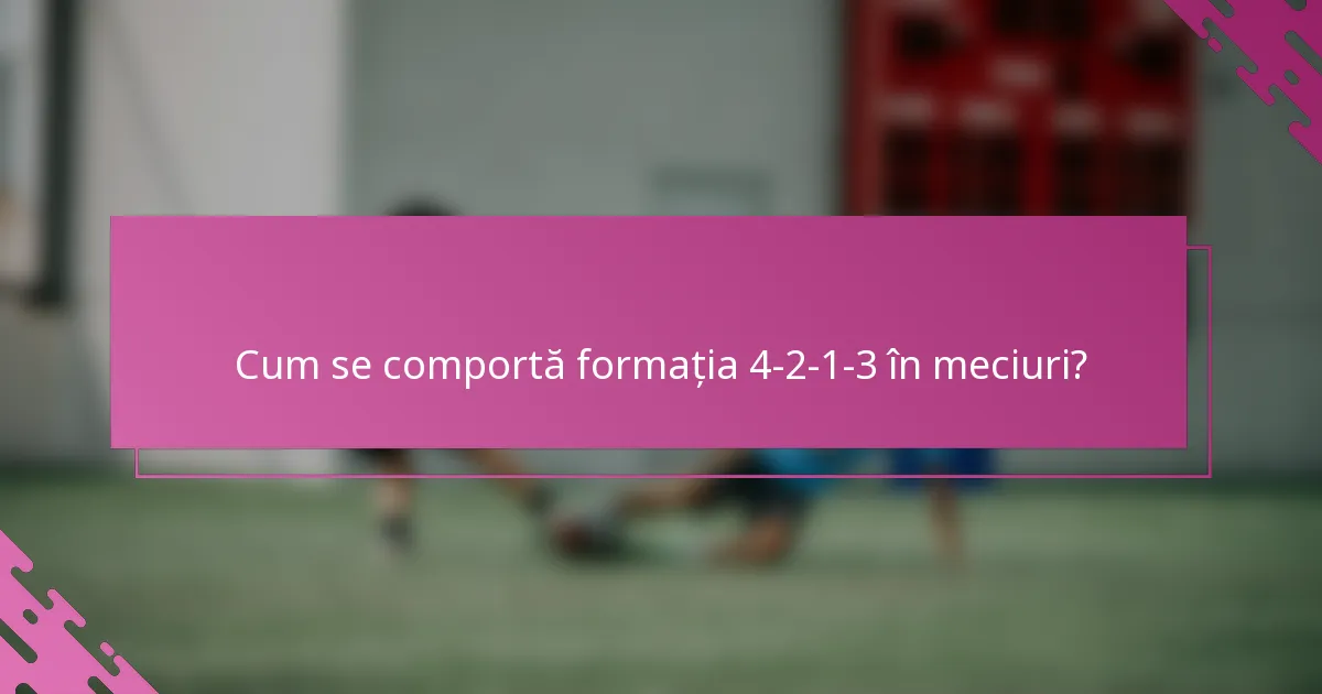 Cum se comportă formația 4-2-1-3 în meciuri?